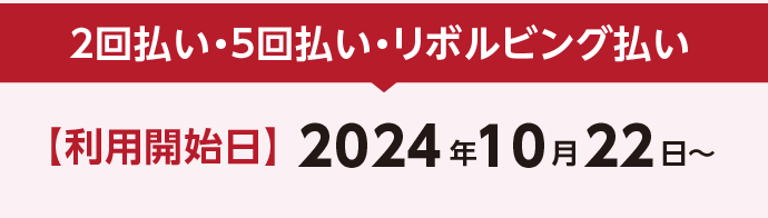 2回払い・5回払い・リボルビング払い