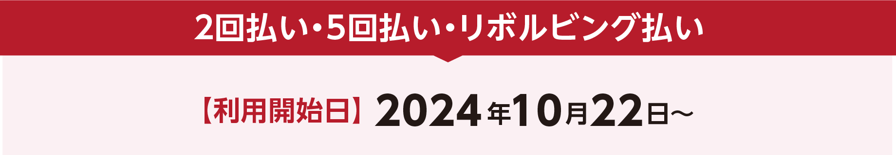 2回払い・5回払い・リボルビング払い